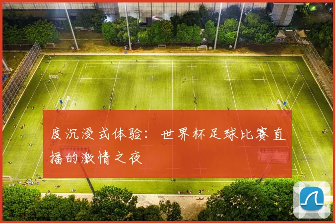 度沉浸式体验：世界杯足球比赛直播的激情之夜