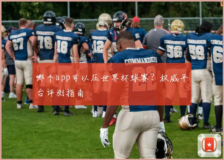 哪个app可以压世界杯球赛?权威平台评测指南